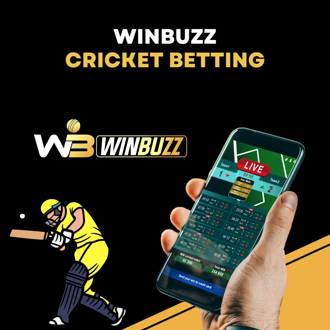 The Importance of Your Winbuzz ID